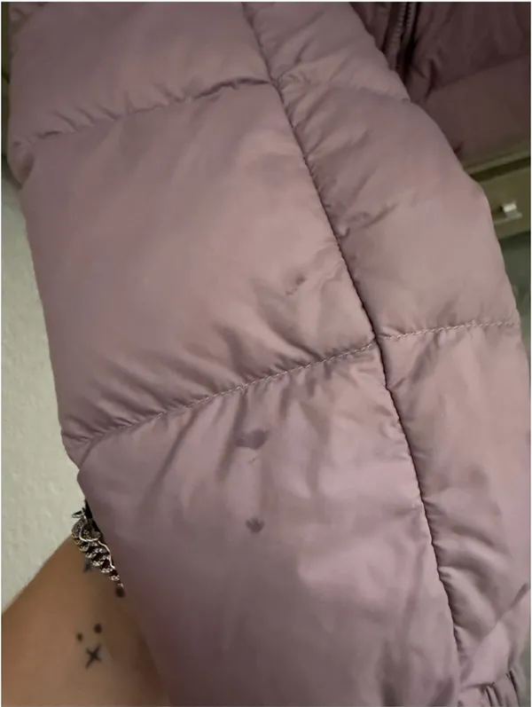 North Face Cropped Puffer Jacket The - Image 3