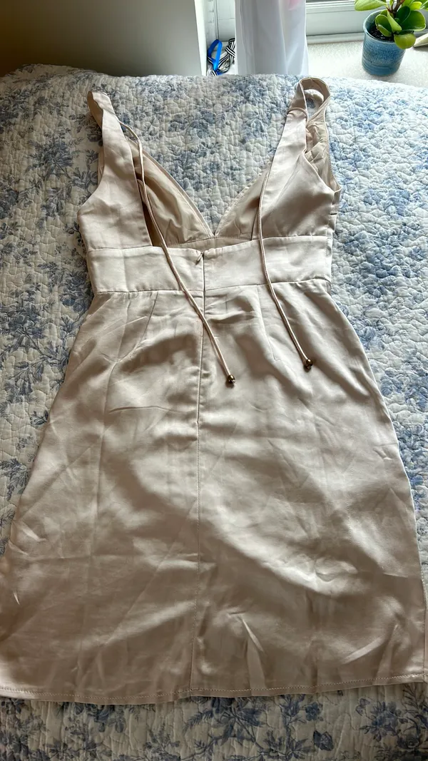 One And Only Champagne Empire Waist Satin Mini Dress - Image 2