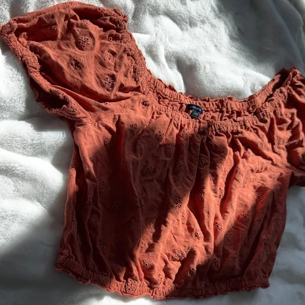 American Eagle Rust Eyelet Off Shoulder Crop Top L Boho Cottagecore Puff Sleeve - Image 4