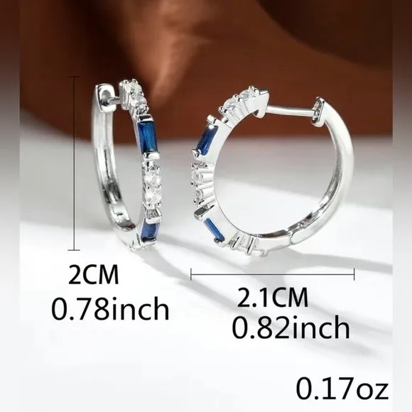 Zircon Blue & White Silver Earrings - Image 4