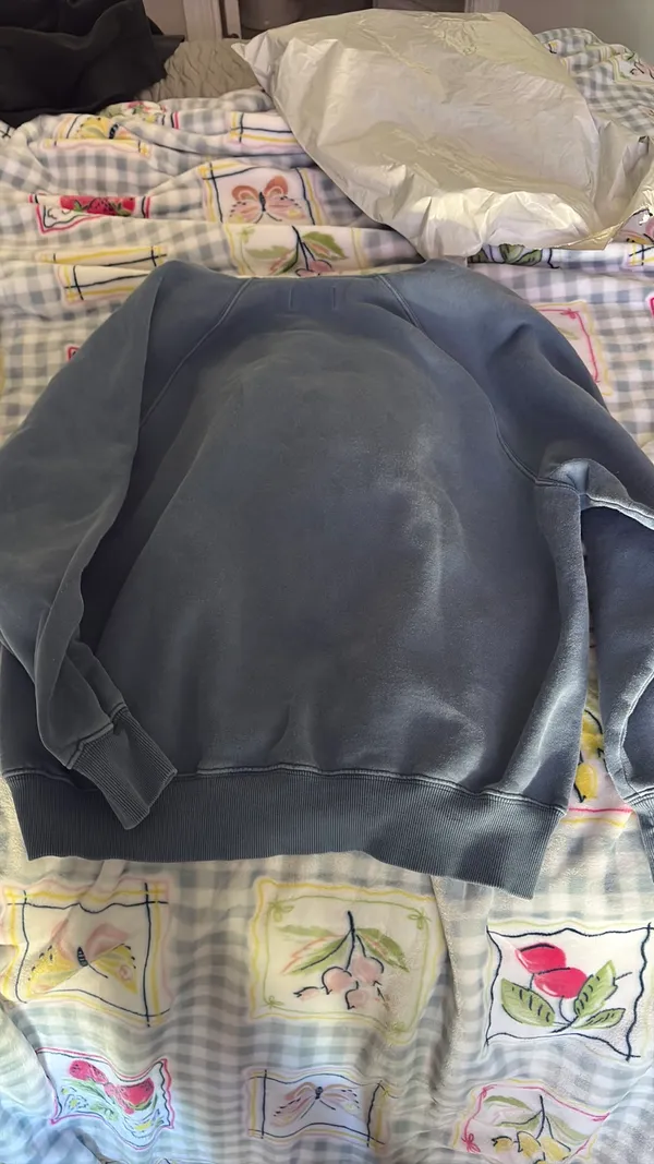 Aritzia Sweatshirt  - Image 3