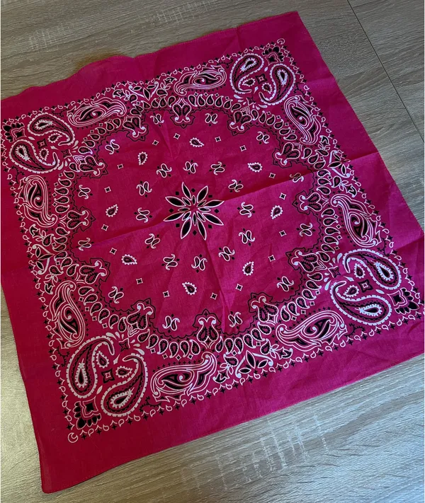 Hot Pink Paisley Bandana - Image 4