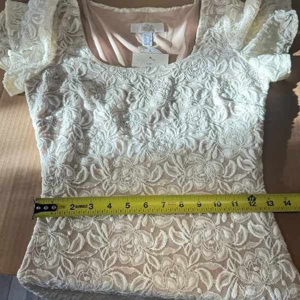 NWT‎ Belle Badgley Mischka Lace Floral Sequin Stretch Mini Dress White Nude - Image 13
