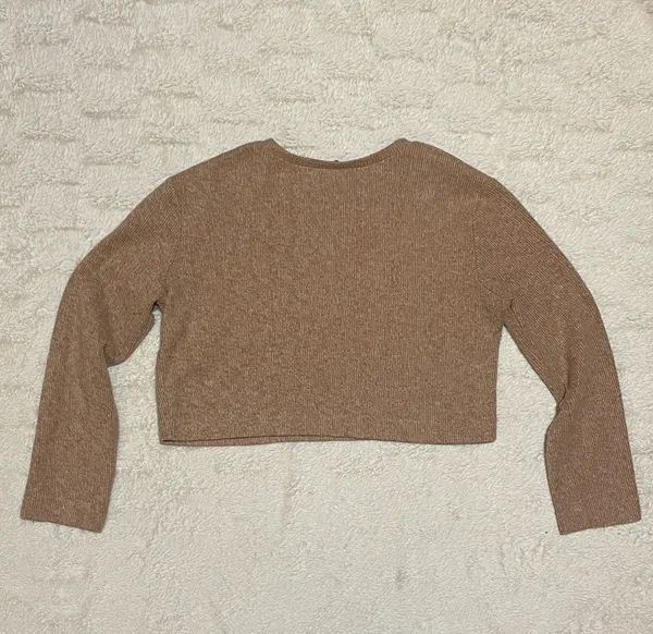 ZARA Fall Tan Cropped Long Sleeve - Image 3