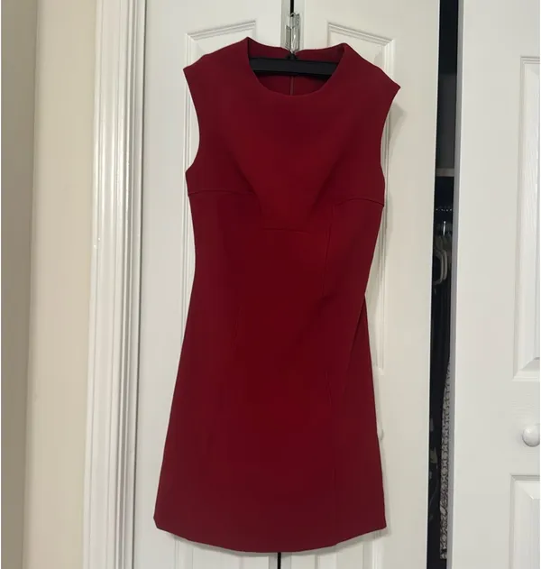 Zara Seamed Mini Dress - Image 2