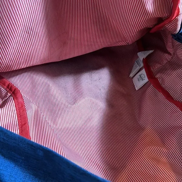 Herschel Supply Co TJX blue Classic Backpack - Image 7