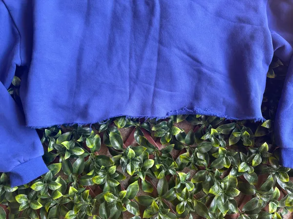 EDIKTED “Dallas” crop sweatshirt Size Medium  - Image 3