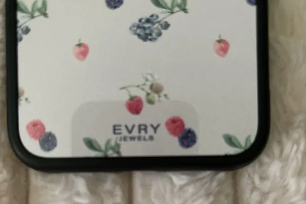 Evry Jewels Fruit Salad Phone Case - Image 2