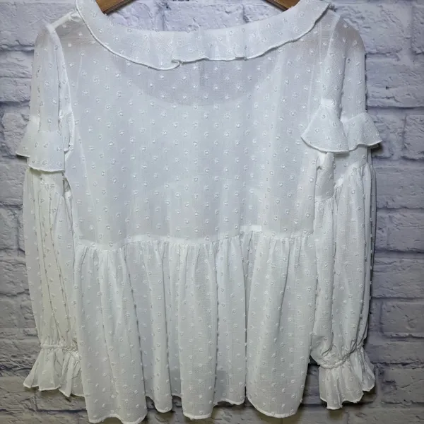 Anthropologie Ruffle Mesh Women’s Long Sleeve Blouse Swiss Dot Sheer Size Small - Image 8