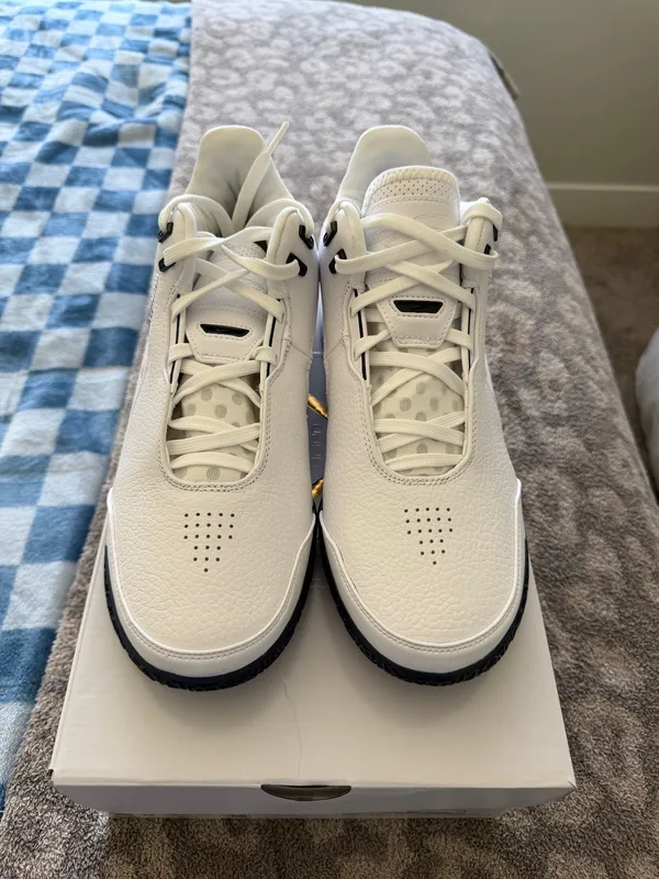 Zoom LeBron NXXT GEN AMPD TB P Nike basketball shoes - Image 2