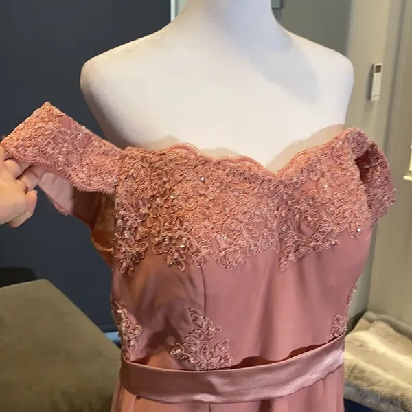Women’s Dusty Pink Full Length Party Formal Dress Small Train Size 14 NWT - Image 3