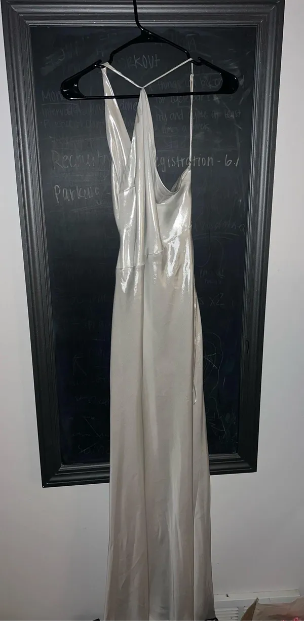 ZARA Dress - Image 2