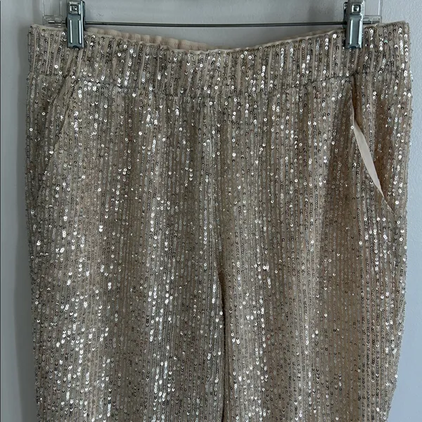 Loft Sequin Joggers Champagne - Image 6