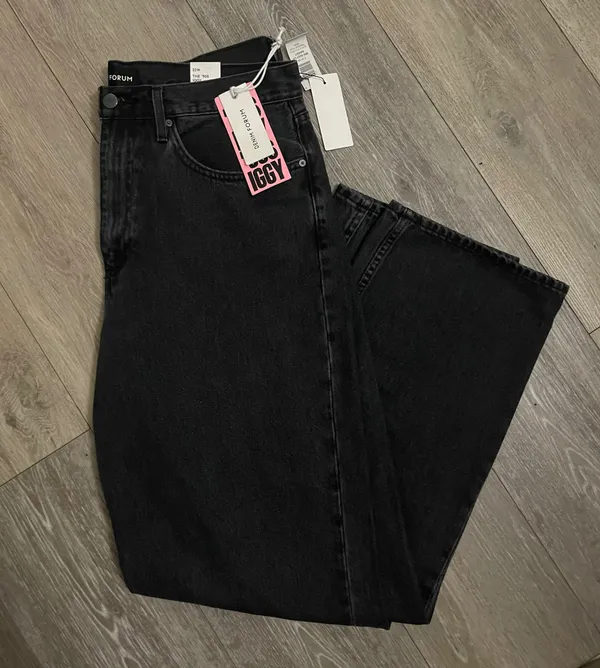 Aritzia Lo-Rise Baggy Jean - Image 2