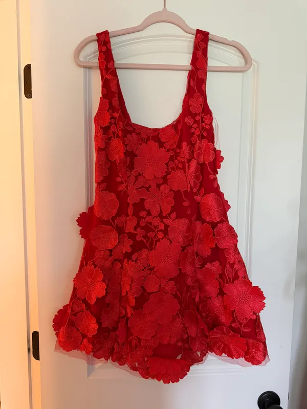 Showpo Dress - Image 2