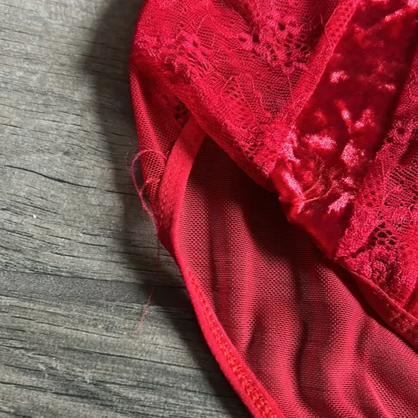 Leg avenue lace and velvet bodysuit - Image 2