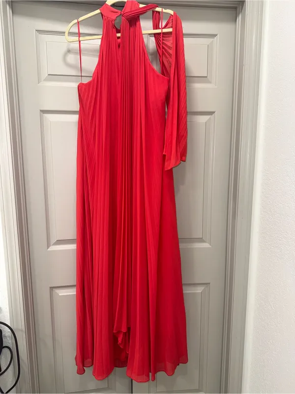 BHLDN Rosie High-Neck Pleated Chiffon Maxi Dress Red Gown Size small - Image 6