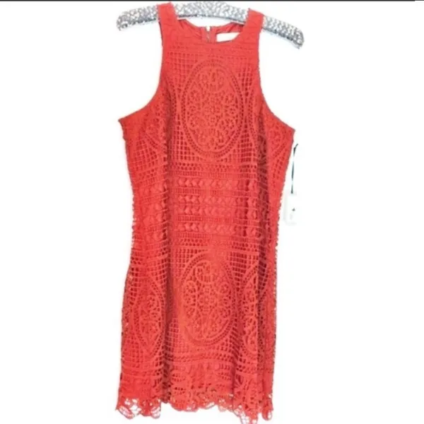 NWT‎ Lovers + Friends caspian lace mini dress - Image 4