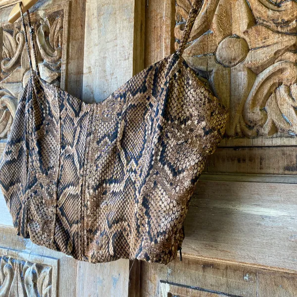 Snake Print Corset - Image 3