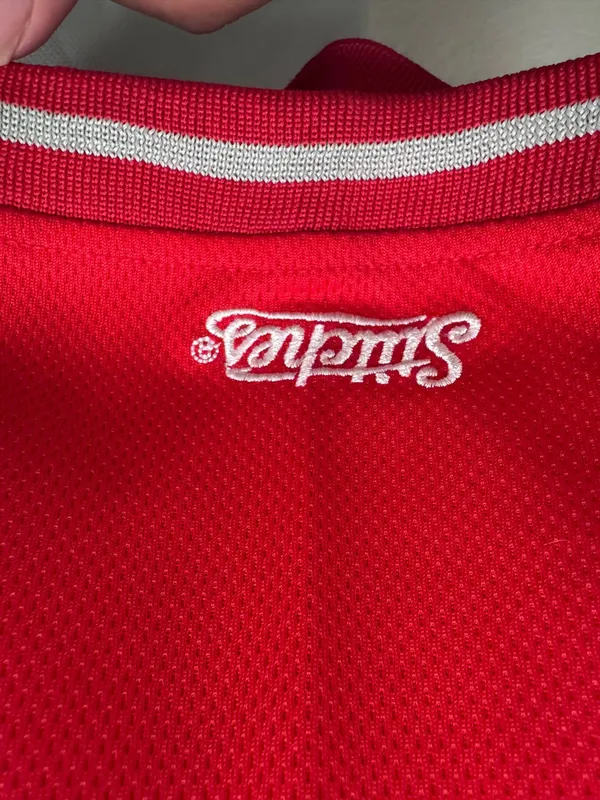 Stitches Anaheim Angels MLB Baseball Jersey Large Gray Red Official - Image 4