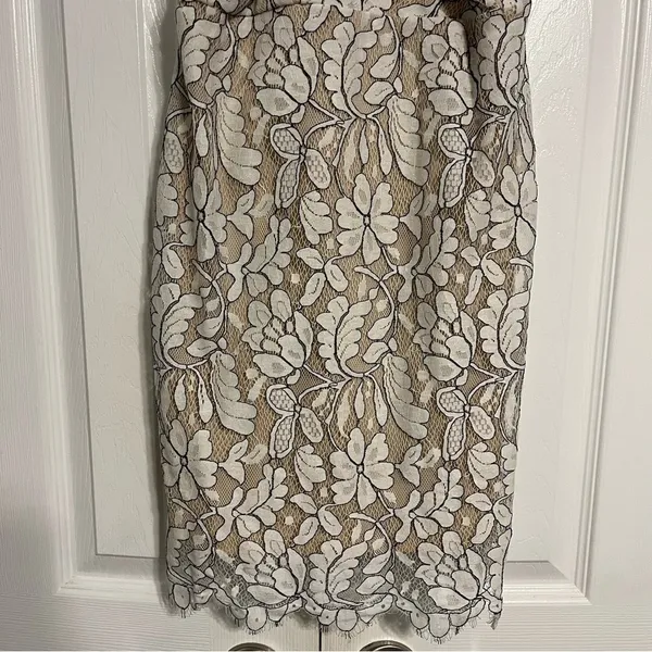 Delicate Darling Beige and Ivory Lace Bodycon Dress - Image 5