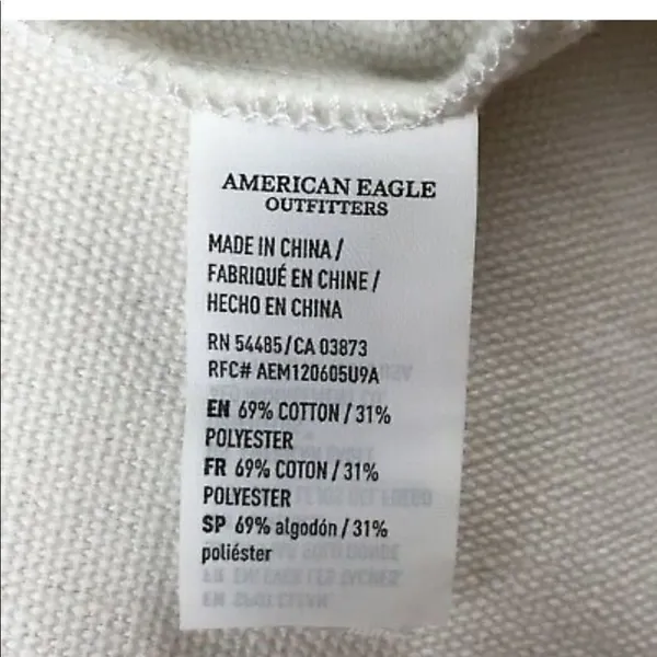 ✨HP✨American Eagle Outfitter AEO Metallic Holographic Canvas Tote Bag✨ - Image 4