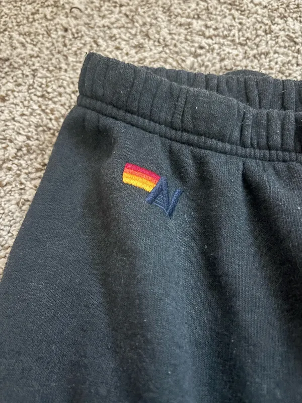 Aviator Nation Sweatpants - Image 2
