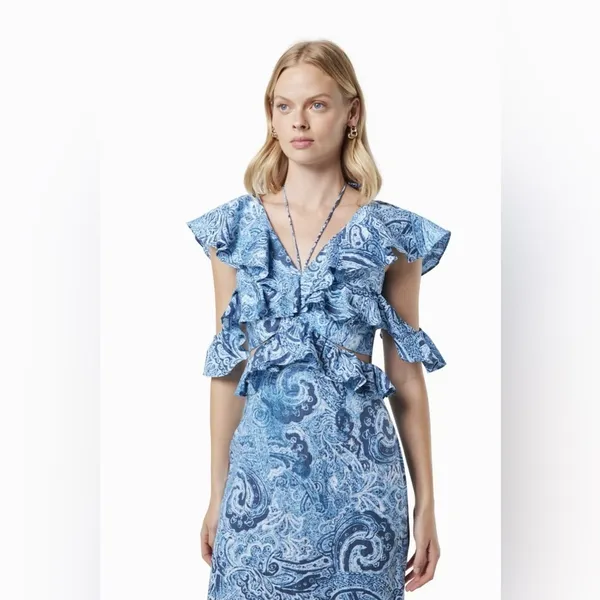 Elliatt Snow Printed Linen Gown Blue Floral Wedding Guest Vacation Summer - Image 6