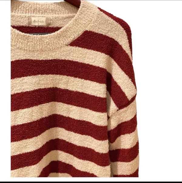 Altar’d State Red Taupe Tan Striped Fuzzy Sweater Soft M Retro Preppy Oversized - Image 2