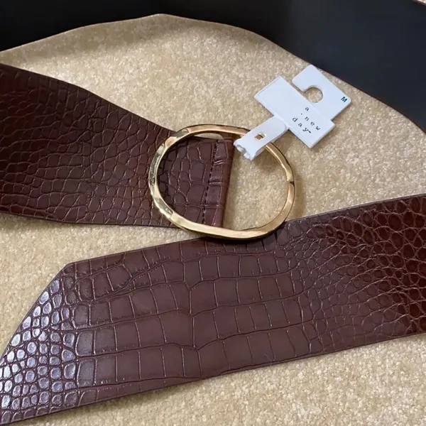 Women’s Barkwood Brown Wide Belt with Gold Buckle S NWT - Image 6