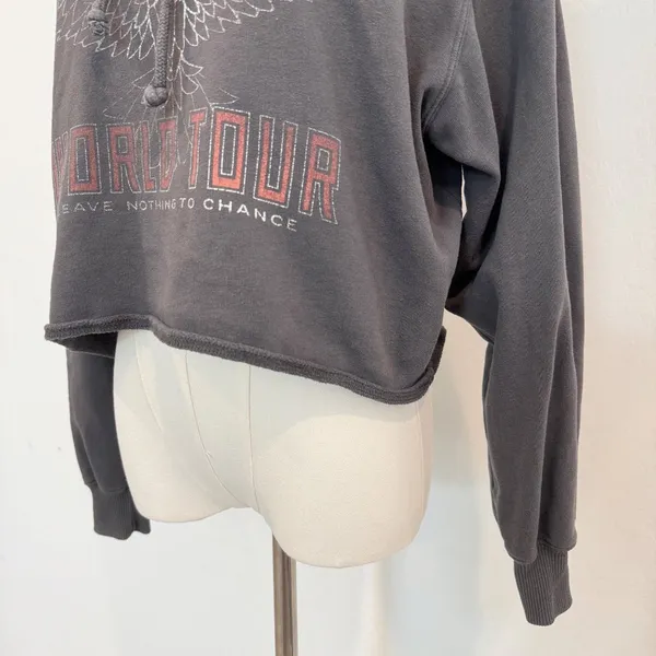 Hollister Cropped Graphic Hoodie Pullover Sweatshirt Loungewear‎ Casual Small - Image 3