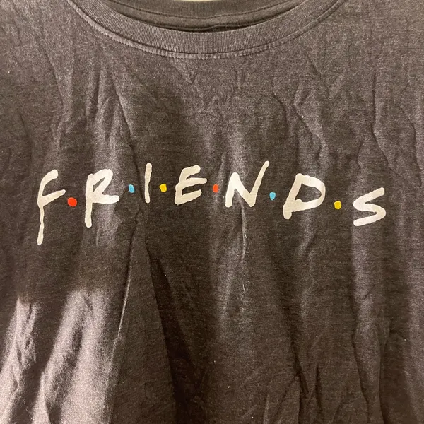 Friends Women’s Adult Graphic Print Short Sleeve T-Shirt Size L Gray - Image 5