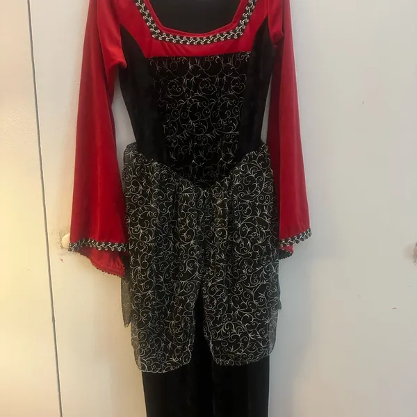 Renaissance / Witch’s Velvet Dress O/S - Image 2