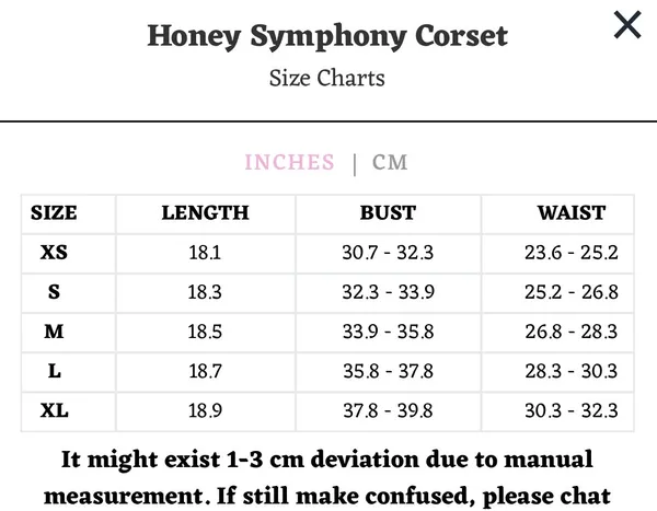 NEW LaceMade Honey Symphony Corset Top Size XS - Image 10