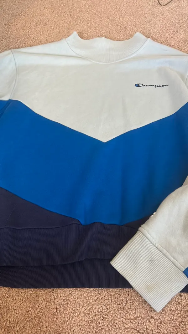 Champion Blue Crewneck - Image 6