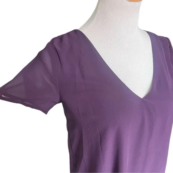 Womens Lulus Plum Freestyle Chiffon V-Neck Shift Dress - Sz XS - Image 3