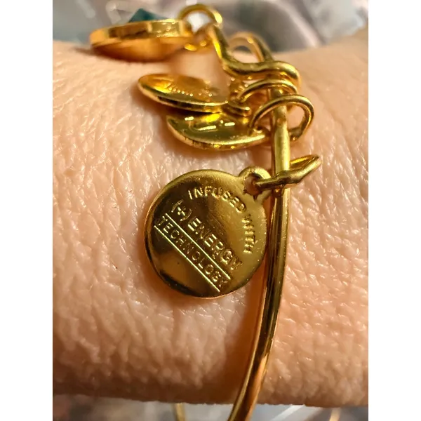 Alex and Ani Gold Tone Blue Swarovski Crystal Expandable Bangle Bracelet classic - Image 4