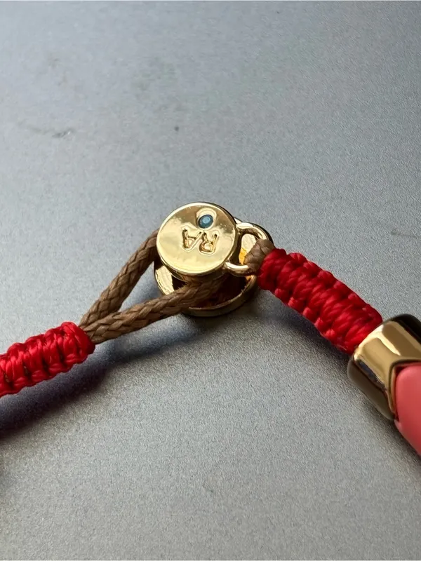 Nwot Roxanne assoulin necklace - Image 3