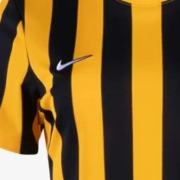 NWT Nike Women's Stripe 4 Jersey Mesh Large - Image 5