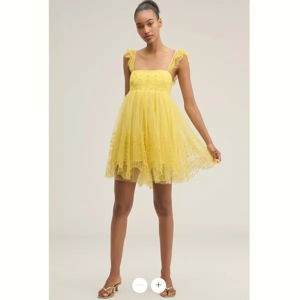 Anthropologie Let Me Be Eyelet Tulle Mini Dress - Image 2