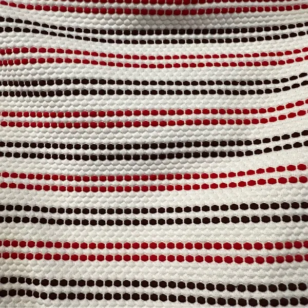 Aerie High Waist Bikini Bottom in Cream with Red and Brown stripes size large - Image 3