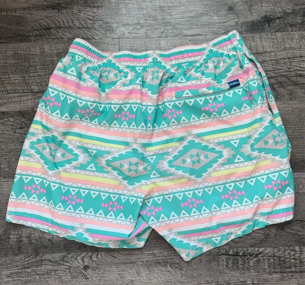 Men’s Chubbies Swim Trunks - Image 2