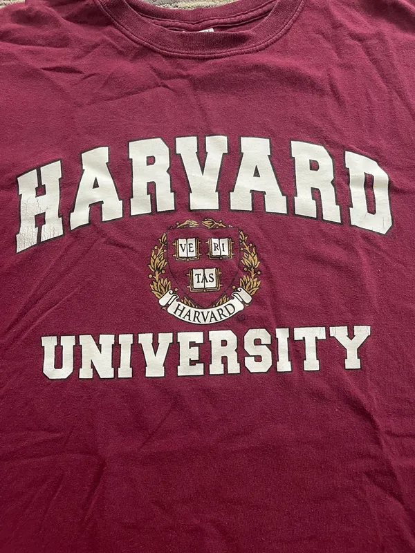 Harvard Maroon T-Shirt Gildan Medium - Image 2
