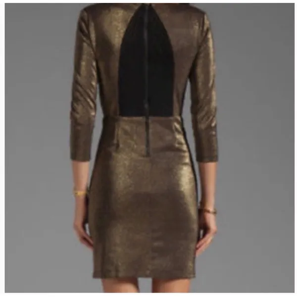 Alice + Olivia Metallic Bronze Sheath Dress‎ Mesh Back Cocktail Quiet Luxury - Image 4