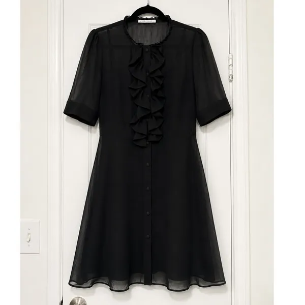 Zara Black Ruffle Button Front Sheer Mini Dress Medium with Camisole Slip - Image 2