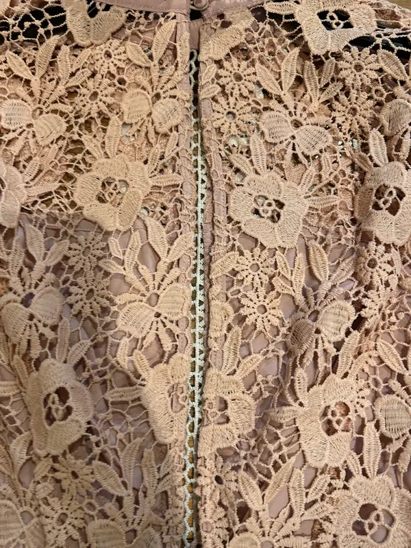 ASOS DESIGN rose Victorian-inspired Pleated Lace Dream Mini Dress 6 - Image 21