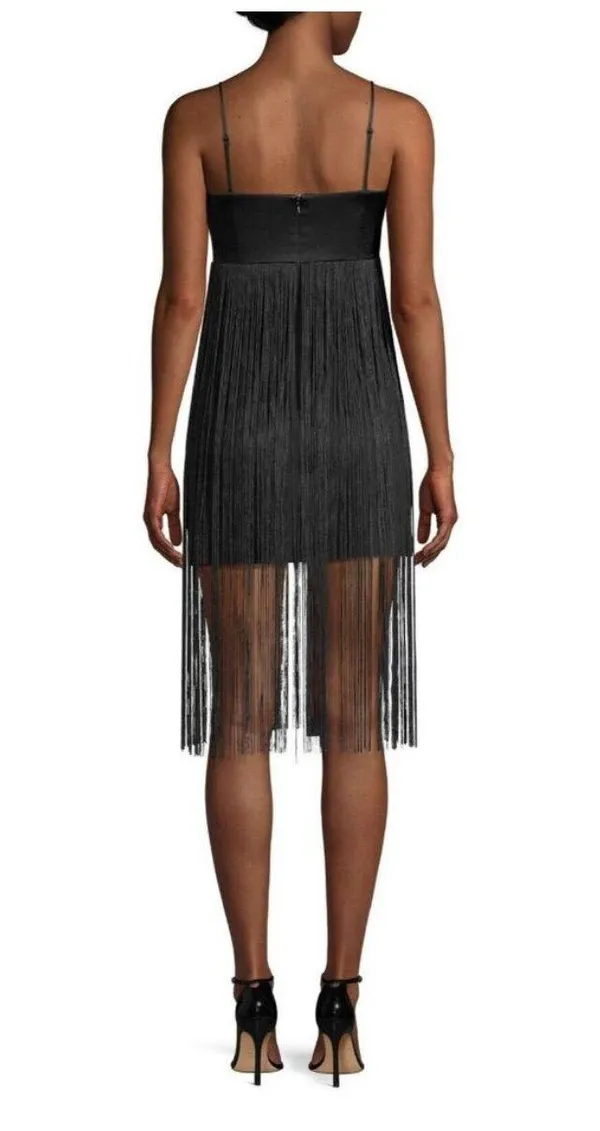 Rikki Black Fringe Flapper Dress - Image 5