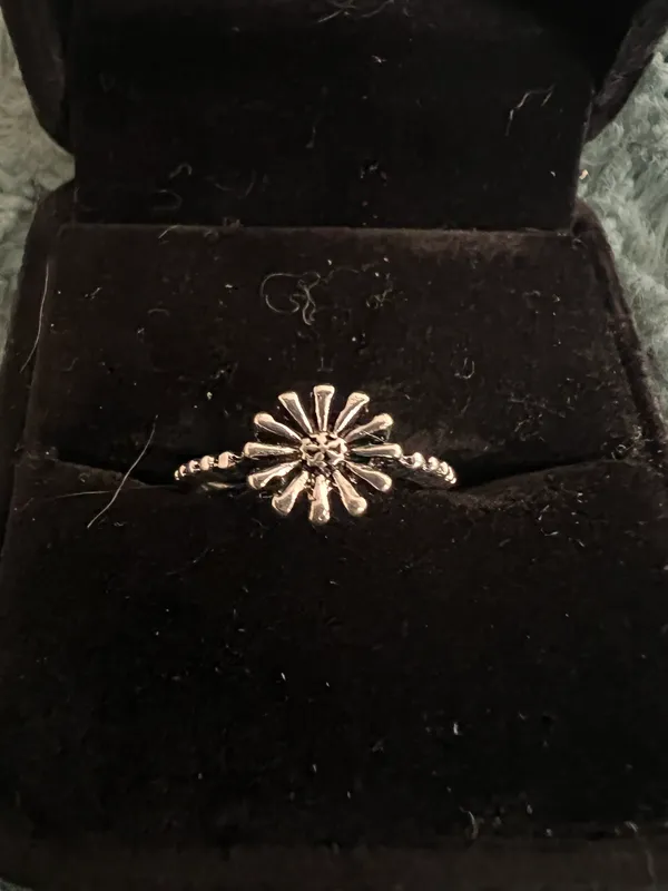 Women’s Stainless Steel Silver Band Size 7 - Image 2