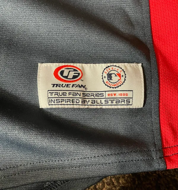 True Fan Minnesota Twins Jersey - Image 2