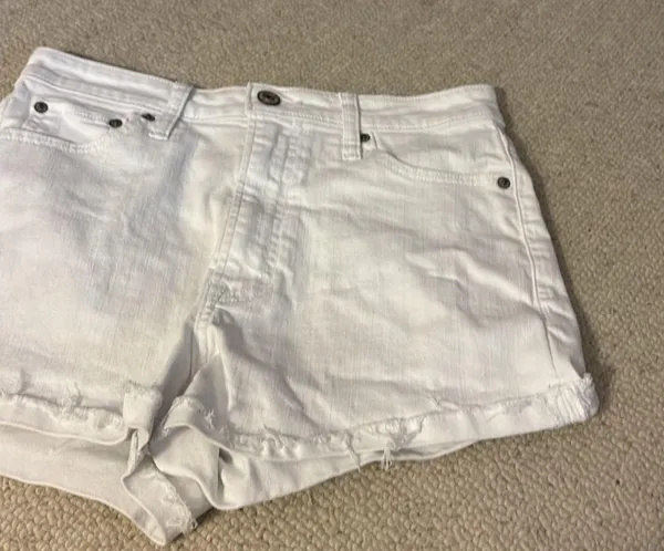 Abercrombie Shorts - Image 3